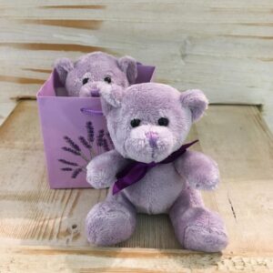 Orsetto di peluche piccolo