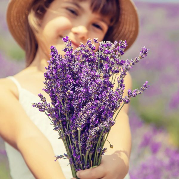 lavanda e bambina